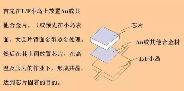 6201f5fe-3ecf-11ed-9e49-dac502259ad0.jpg