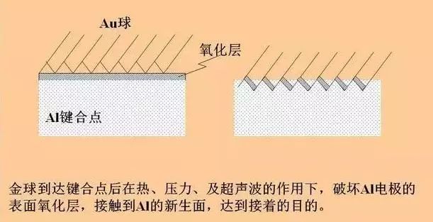 63470242-3ecf-11ed-9e49-dac502259ad0.jpg